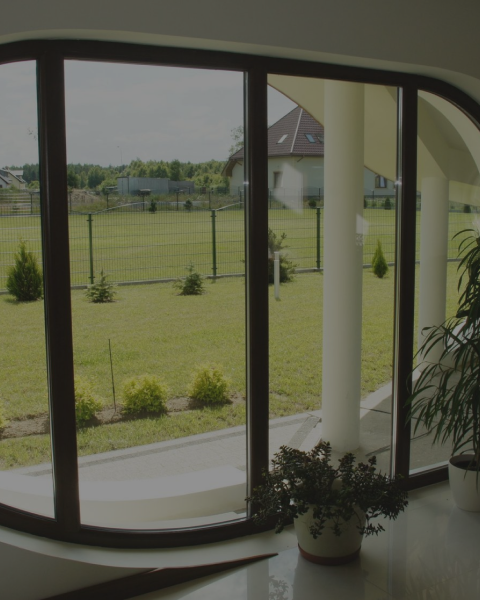 Frame 38742